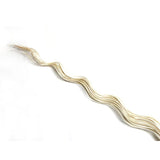 Decorative Dried Branches