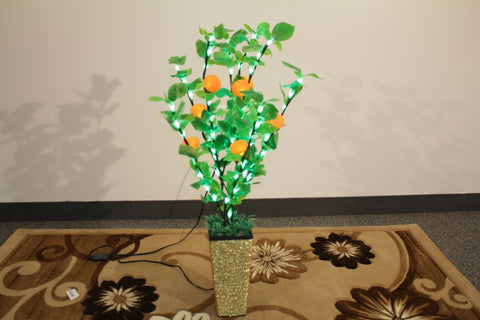 Plant Lamp