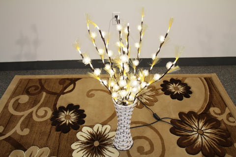Lighting Plant